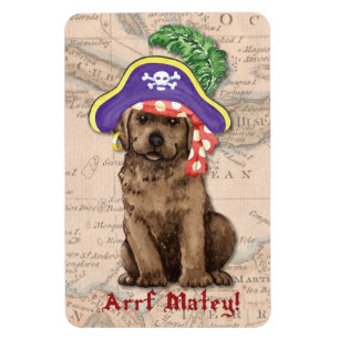 Schokolade Labrador Pirate Magnet