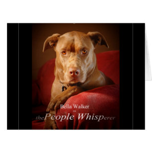 Schokolade Labrador Pit Mix Dog Movie Poster