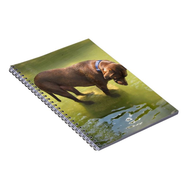 Schokolade Labrador Pit Mix Hund Suche nach Fisch Notizblock (Rechte Seite)