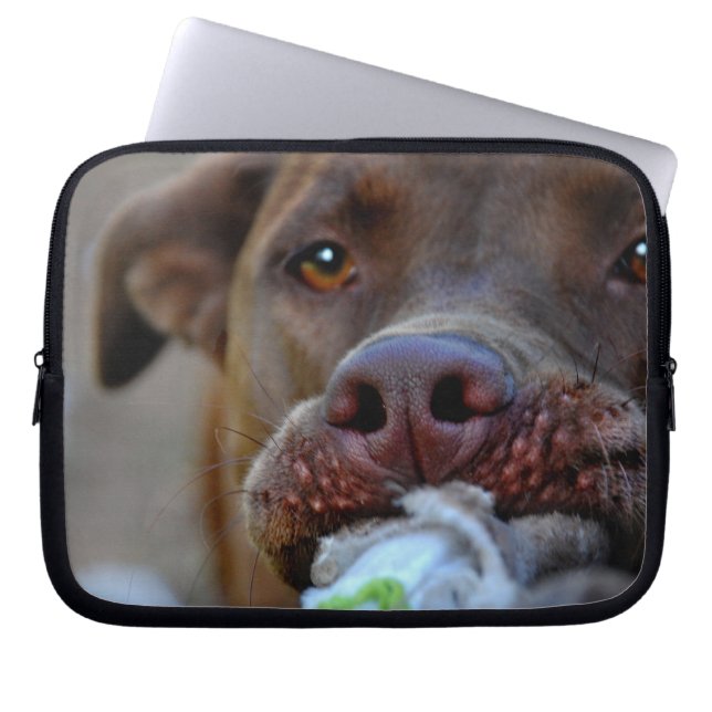 Schokolade Labrador Pit Puppy Laptopschutzhülle (Vorderseite)