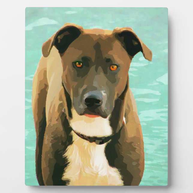 Schokolade Labrador Pitbull Mix Pitador Labrabull Fotoplatte (Vorderseite)
