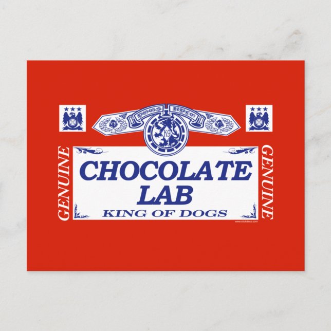 Schokolade Labrador Postkarte (Vorderseite)