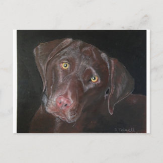 Schokolade Labrador Postkarte