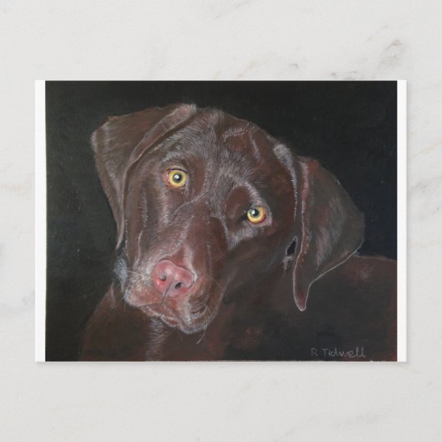 Schokolade Labrador Postkarte (Vorderseite)