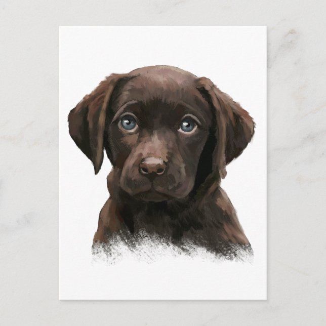 Schokolade Labrador Postkarte (Vorderseite)