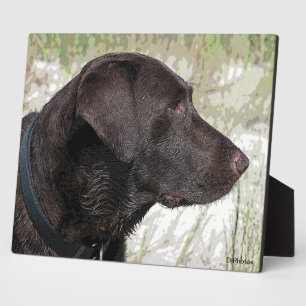 Schokolade-Labrador-Profil Plaque Fotoplatte