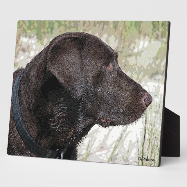 Schokolade-Labrador-Profil Plaque Fotoplatte (Seite)