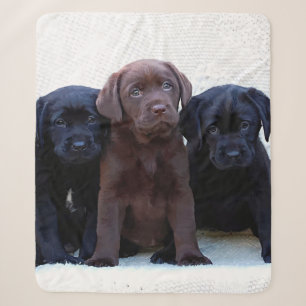 Schokolade Labrador - Puppen aus schwarzem Labrado Sherpadecke