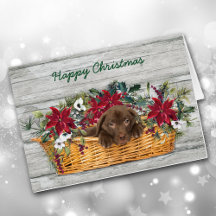 Schokolade Labrador Puppy in Basketball Weihnachts