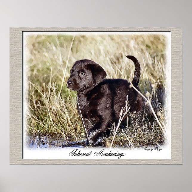 Schokolade Labrador Retriever Art Print Poster (Vorne)