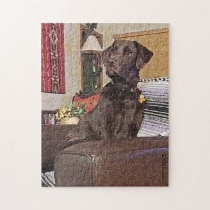 Schokolade Labrador Retriever auf dem Stuhl
