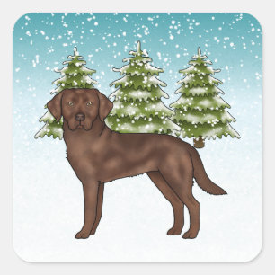 Schokolade Labrador Retriever Dog Blue Christmas Quadratischer Aufkleber