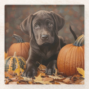 Schokolade Labrador Retriever Herbst Glasuntersetzer