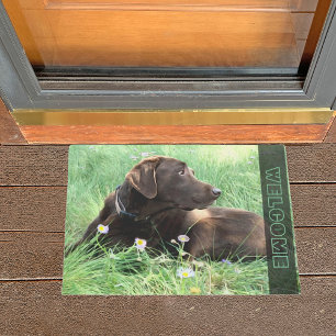 Schokolade Labrador Retriever Hund in Gras-Blume Fußmatte