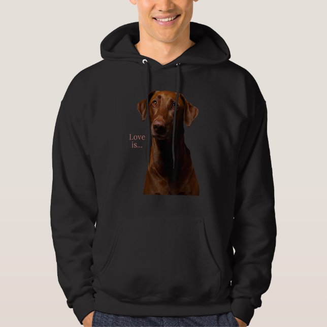 Schokolade Labrador Retriever Labrador T-Shirt Hun Hoodie (Vorderseite)