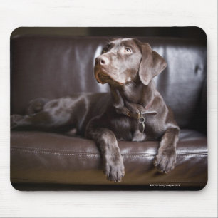 Schokolade Labrador Retriever Mousepad