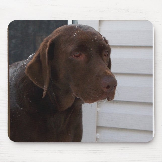 Schokolade Labrador retriever Mousepad (Vorne)