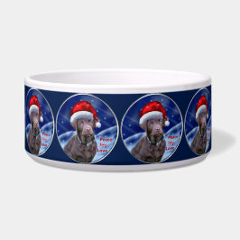 Schokolade Labrador Retriever Napf