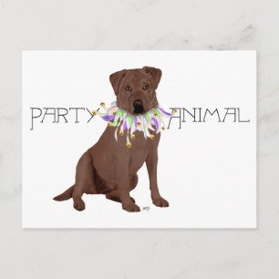 Schokolade Labrador Retriever Party Postkarte