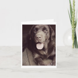 Schokolade Labrador Retriever Puppy Hund Note Card Karte