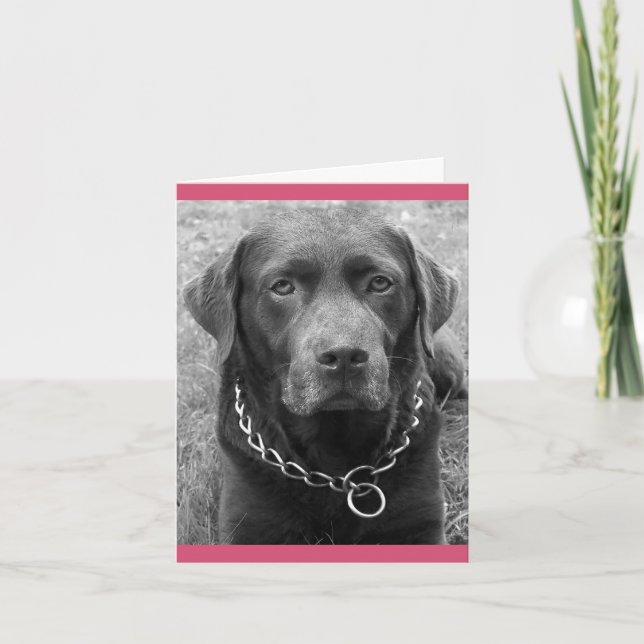 Schokolade Labrador Retriever Puppy Hund Note Card Karte (Vorderseite)