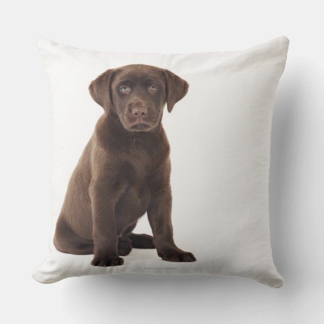 Schokolade Labrador Retriever Puppy Kissen (Vorderseite)