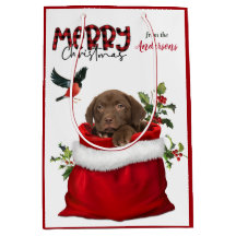 Schokolade Labrador Retriever Welpenhund Weihnacht