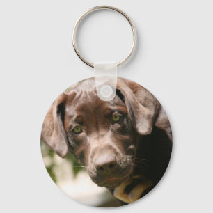 Schokolade Labrador Schlüsselanhänger