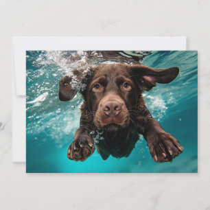 Schokolade Labrador Schwimmen unter Wasser Karte