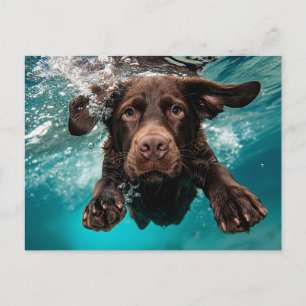 Schokolade Labrador Schwimmen unter Wasser Postkarte