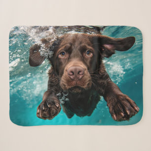 Schokolade Labrador Schwimmen unter Wasser Sherpadecke