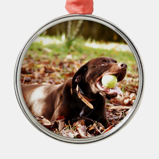 Schokolade-Labrador-Spiel mit Ball Ornament Aus Metall (Vorne)