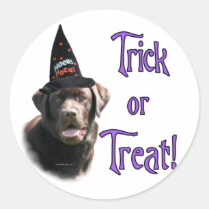 Schokolade Labrador Trick Sticker