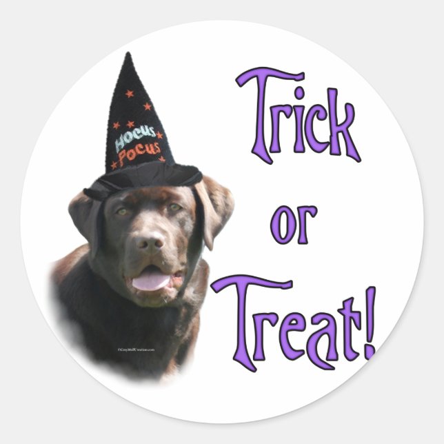 Schokolade Labrador Trick Sticker (Vorderseite)