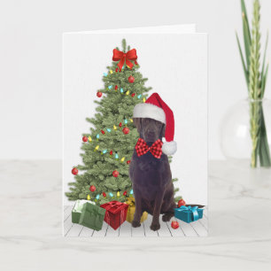 Schokolade Labrador Weihnachten Karte