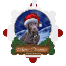 Schokolade Labrador Weihnachtsgeschenke