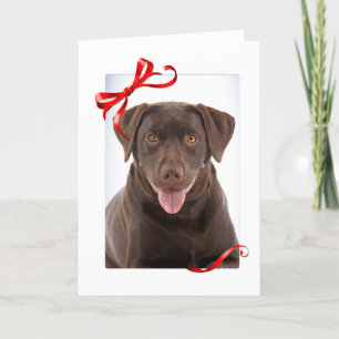 Schokolade Labrador Weihnachtskarte Dankeskarte