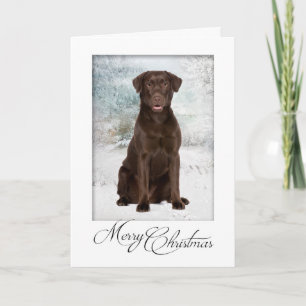 Schokolade Labrador Weihnachtskarte Feiertagskarte