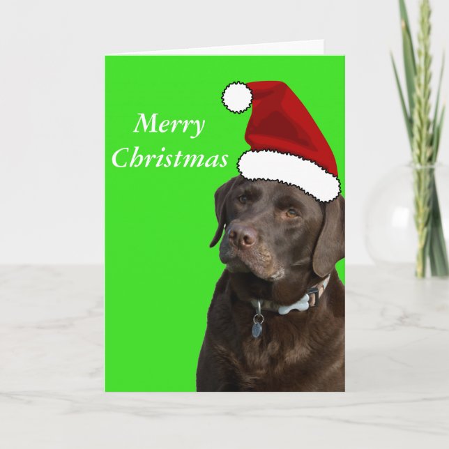 Schokolade Labrador Weihnachtskarte Feiertagskarte (Vorderseite)