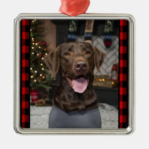 Schokolade Labrador Weihnachtsschmuck