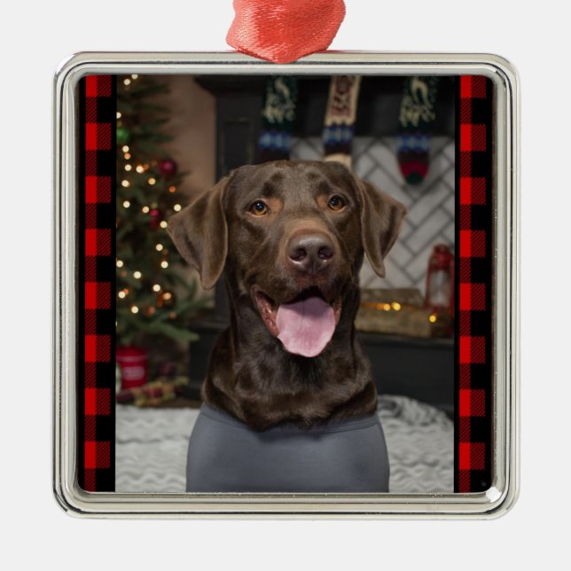 Schokolade Labrador Weihnachtsschmuck (Vorne)