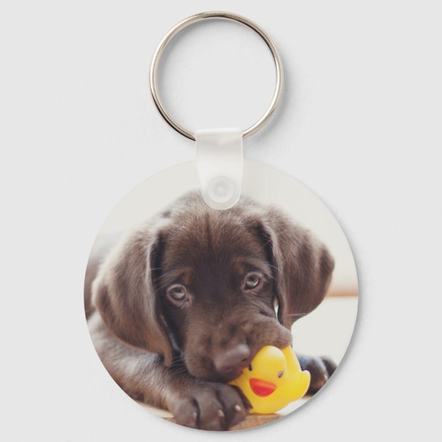Schokolade-Labrador-Welpe mit Spielzeug-Ente Schlüsselanhänger (Vorderseite)