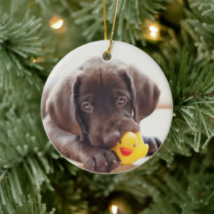 Schokolade-Labrador-Welpe mit Spielzeugente Keramik Ornament