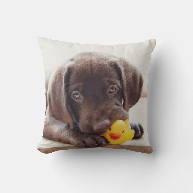 Schokolade-Labrador-Welpe mit Spielzeugente Kissen (Vorderseite)