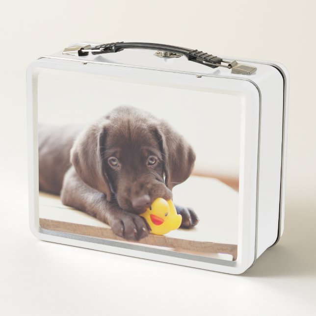 Schokolade-Labrador-Welpe mit Spielzeugente Metall Brotdose (Rückseite)