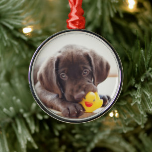 Schokolade-Labrador-Welpe mit Spielzeugente Ornament Aus Metall