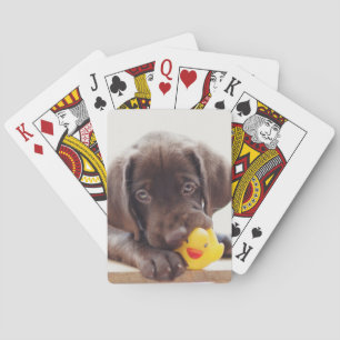 Schokolade-Labrador-Welpe mit Spielzeugente Spielkarten