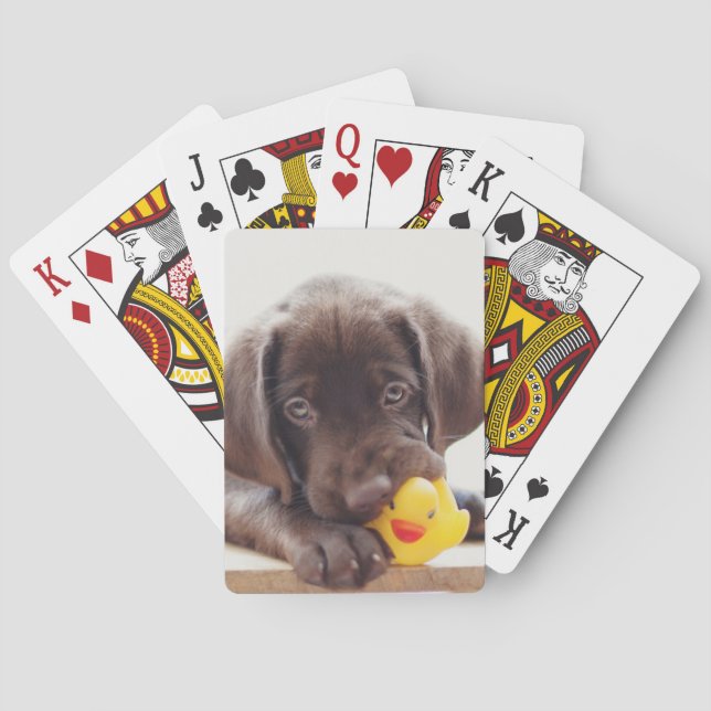 Schokolade-Labrador-Welpe mit Spielzeugente Spielkarten (Rückseite)