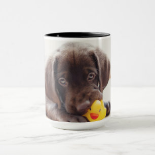 Schokolade-Labrador-Welpe mit Spielzeugente Tasse