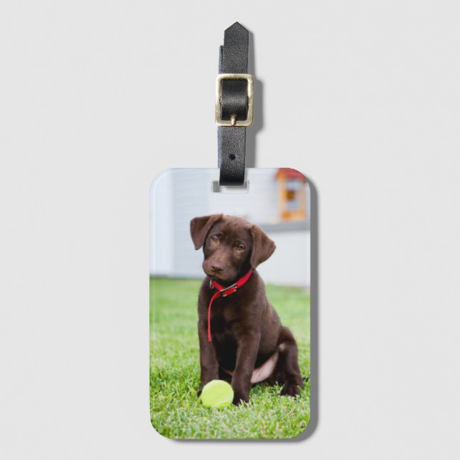 Schokolade-Labrador-Welpe mit Tennisball Gepäckanhänger (Vorderseite Vertikal)